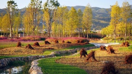 東方園林 向全能型生態環保企業邁進，持續深耕循環經濟與樹木種植經營