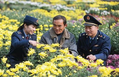 譙城工商積極引導(dǎo)農(nóng)民轉(zhuǎn)型，花木種植經(jīng)營成致富新路徑